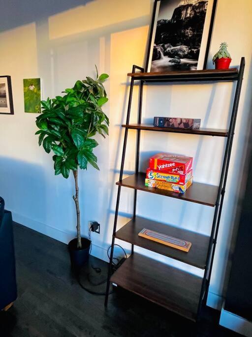Sunny Penthouse On 17Th Ave, 1 Bedroom, 1 Loft Bed With Ladder, 1 Sofa Bed, Sleeps 6, Downtown 卡加利 外观 照片