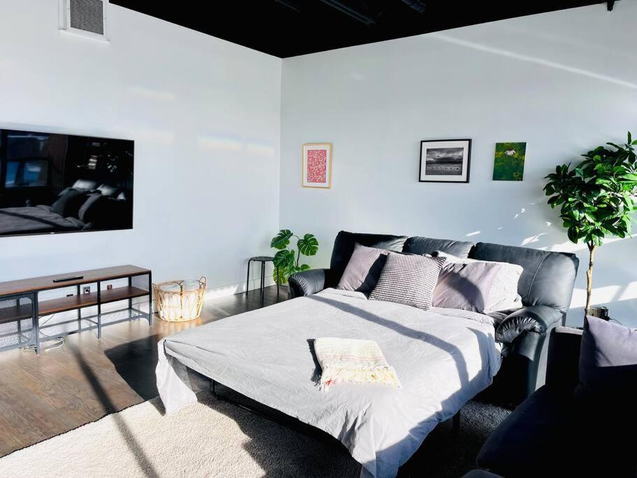 Sunny Penthouse On 17Th Ave, 1 Bedroom, 1 Loft Bed With Ladder, 1 Sofa Bed, Sleeps 6, Downtown 卡加利 外观 照片